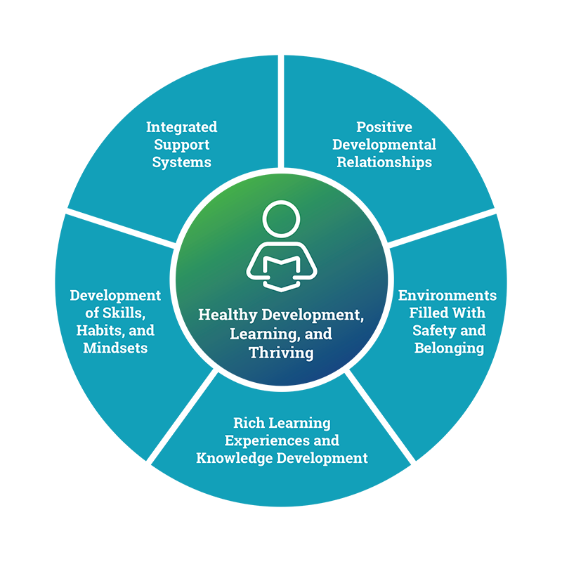 What Are The 5 Principles Of Community Development With Examples